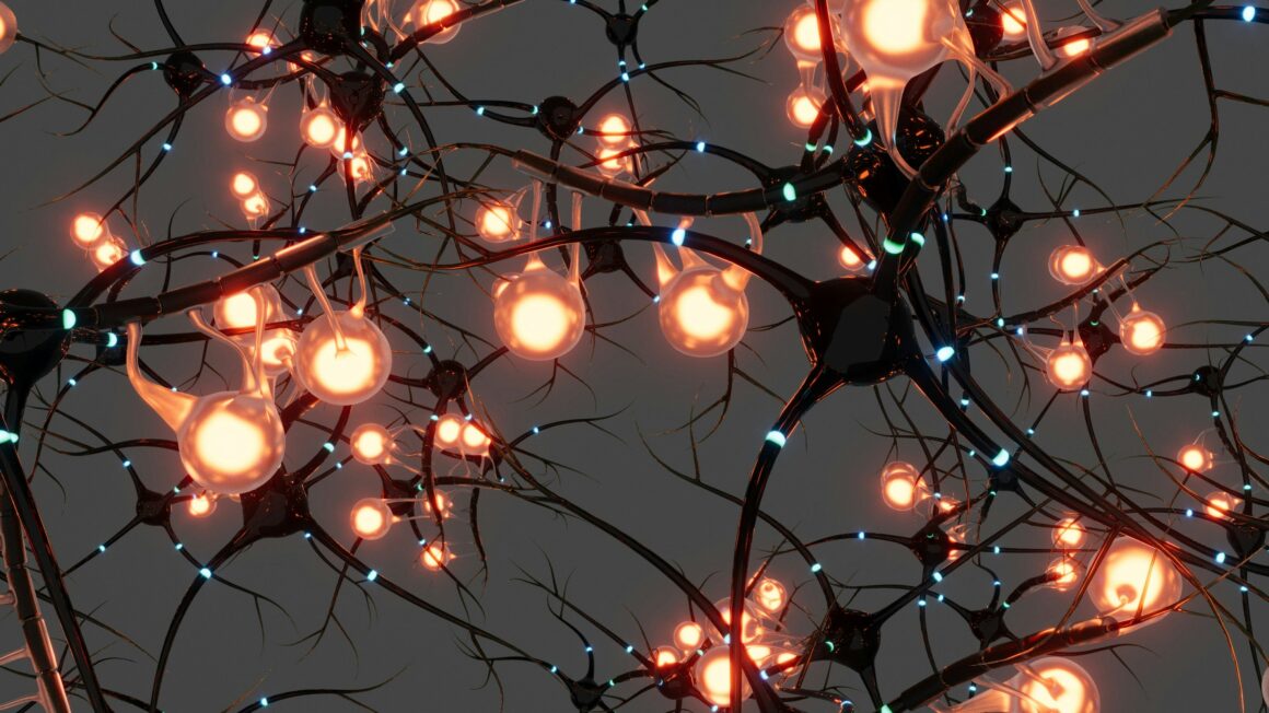 Lights and wires have been arranged to look like brain cells